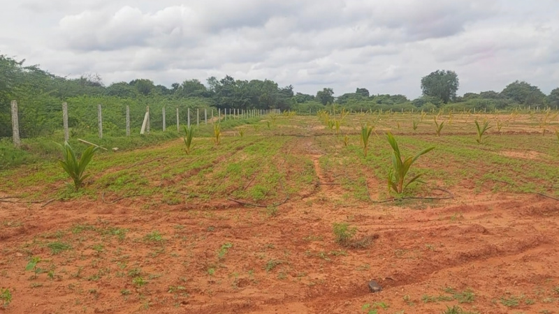 Agricultural Land 9 Acre for Sale in Mysore Road, Bangalore