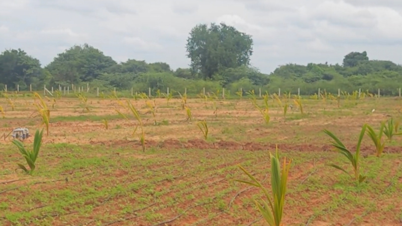  Agricultural Land 9 Acre for Sale in Mysore Road, Bangalore