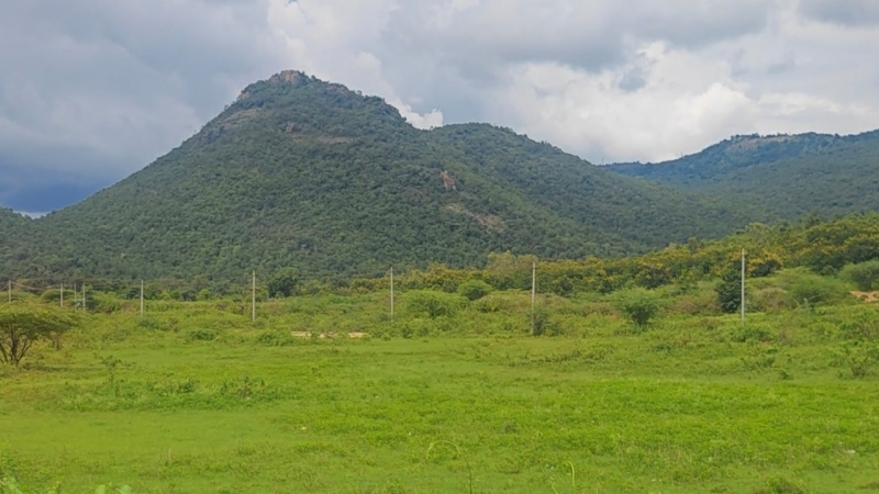  Agricultural Land 5 Acre for Sale in Mysore Road, Bangalore