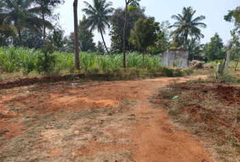  Agricultural Land for Sale in Kanakapura Road, Bangalore