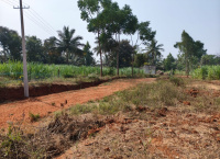  Agricultural Land for Sale in Kanakapura Road, Bangalore