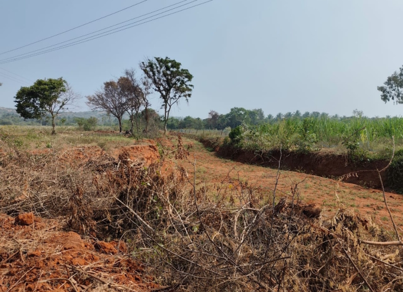  10 Acre Agricultural/Farm Land for Sale in Kanakapura Road, Bangalore