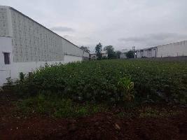 Agricultural Land for Rent in Ozar, Nashik