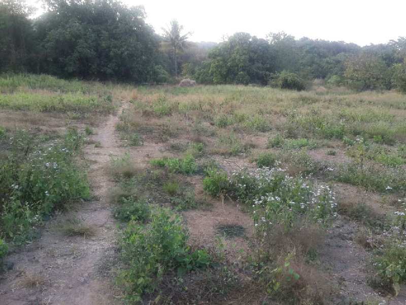 Agricultural Land 26000 Sq.ft. for Sale in