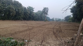  Residential Plot for Sale in Kursi Road, Lucknow