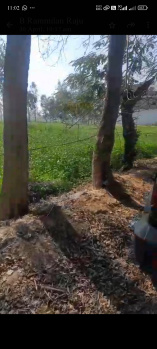 Agricultural Land for Sale in Trivediganj, Barabanki
