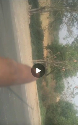  Agricultural Land 300 Bigha for Sale in Nigoha, Lucknow