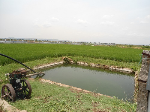  1650 Sq.ft. Residential Plot for Sale in Sikkandar Chavadi, Madurai