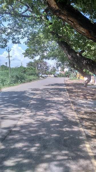 Commercial Land 3956 Sq.ft. for Sale in Koodal Nagar, Madurai