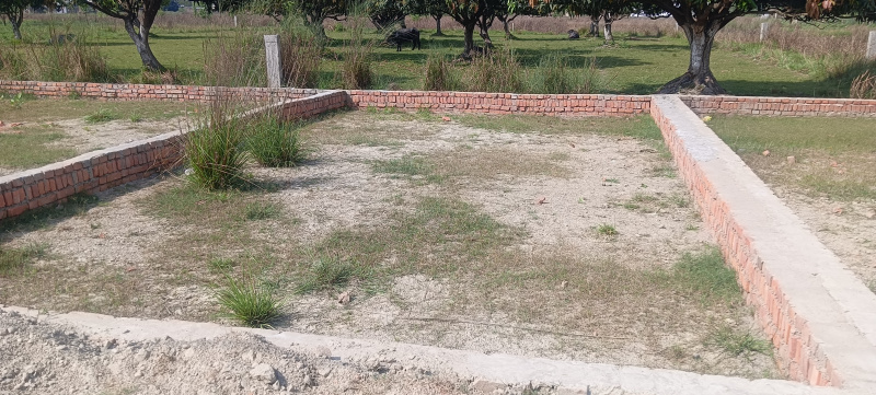 Rajgir, Nalanda photo 4
