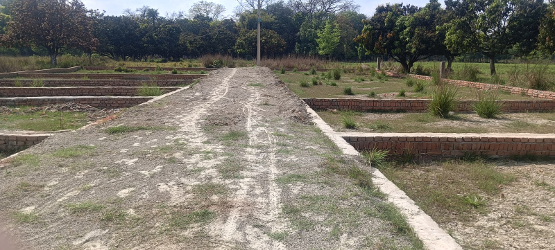 Rajgir, Nalanda photo 5