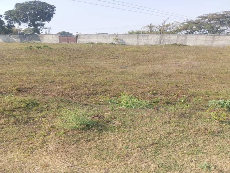 Sutapatti, Muzaffarpur photo 2