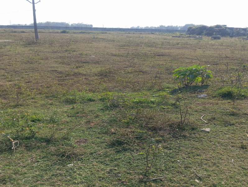 Sutapatti, Muzaffarpur photo 4