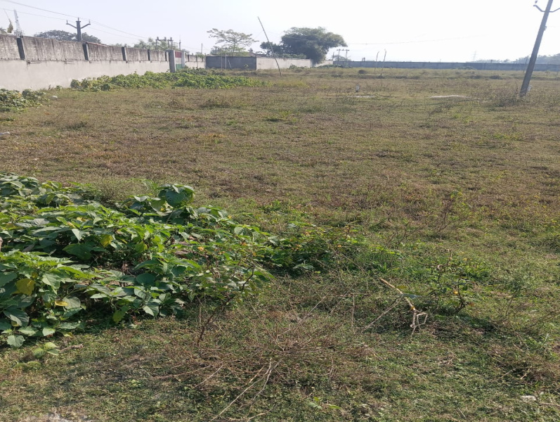 Sutapatti, Muzaffarpur photo 5