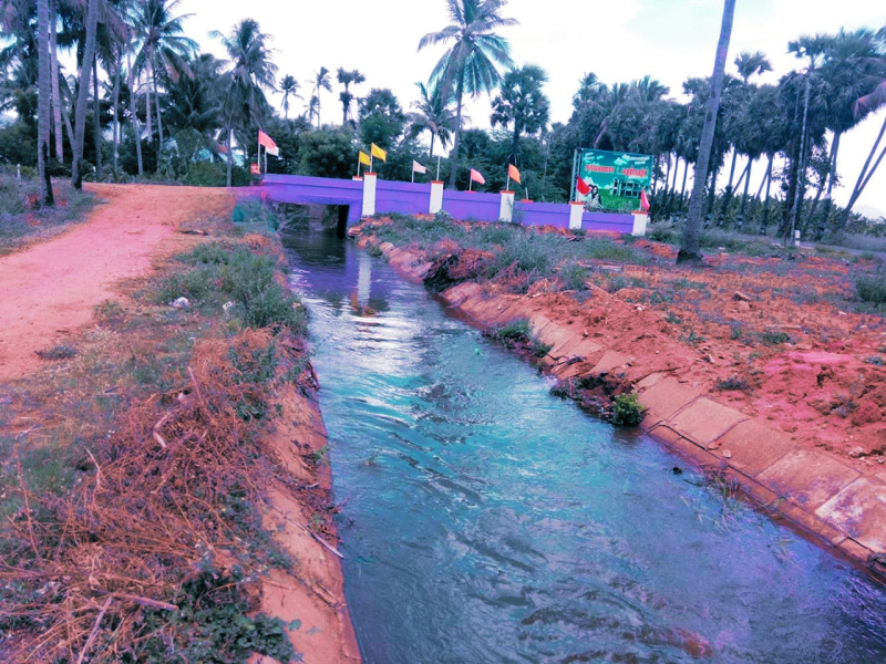  1650 Sq.ft. Residential Plot for Sale in Koodal Nagar, Madurai