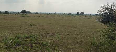  Agricultural Land for Sale in Barsi Takli, Akola