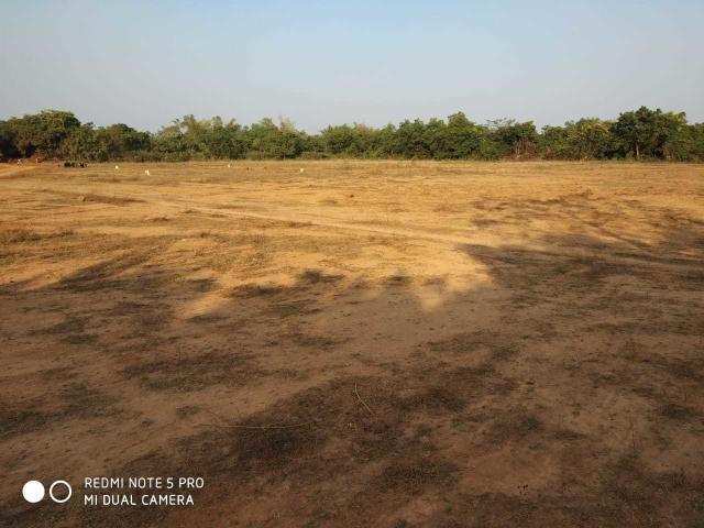 Agricultural Land 13 Bigha for Sale in Tarapur, Anand