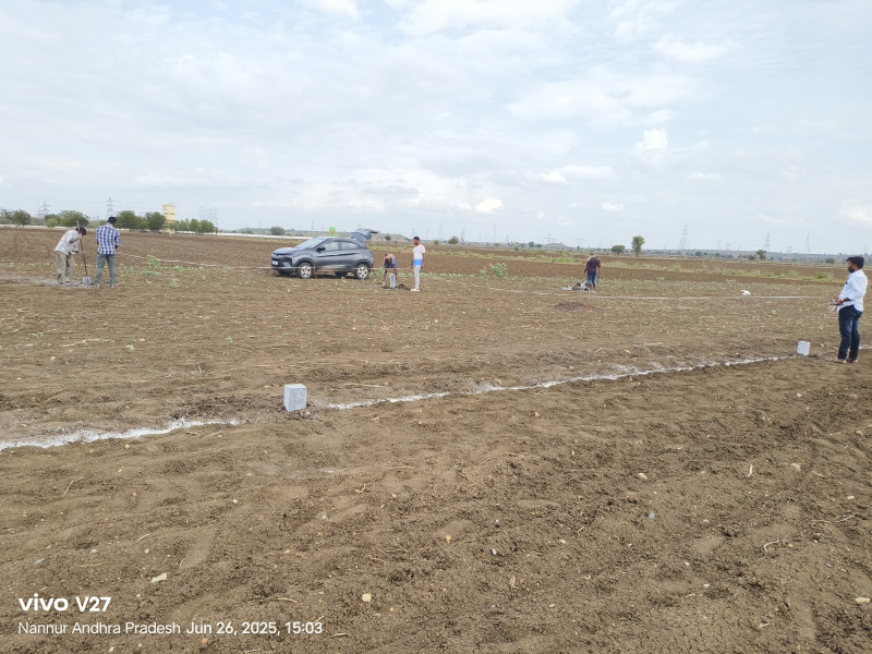  Residential Plot 1200 Sq.ft. for Sale in Nannur, Kurnool