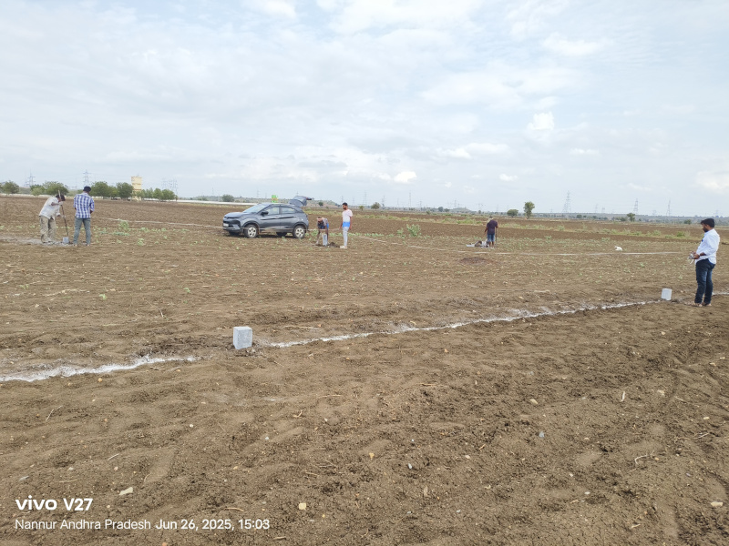  Residential Plot 1200 Sq.ft. for Sale in Nannur, Kurnool