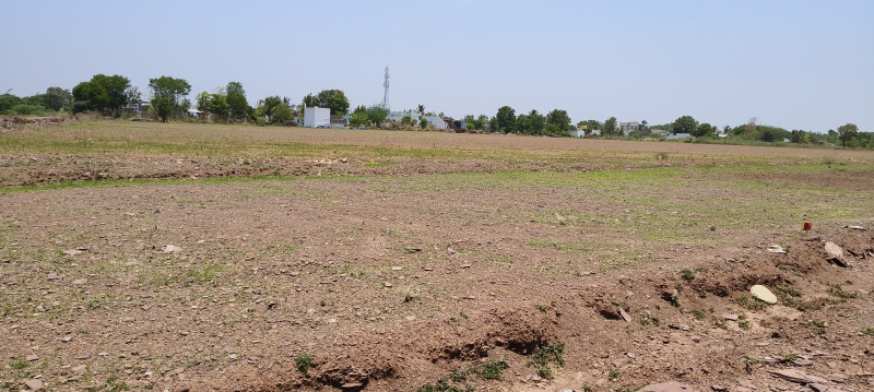  1320 Sq.ft. Residential Plot for Sale in Orvakal, Kurnool
