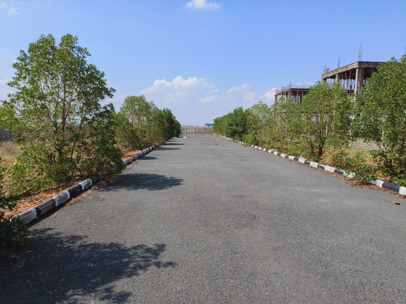  1200 Sq.ft. Residential Plot for Sale in B Thandrapadu, Kurnool