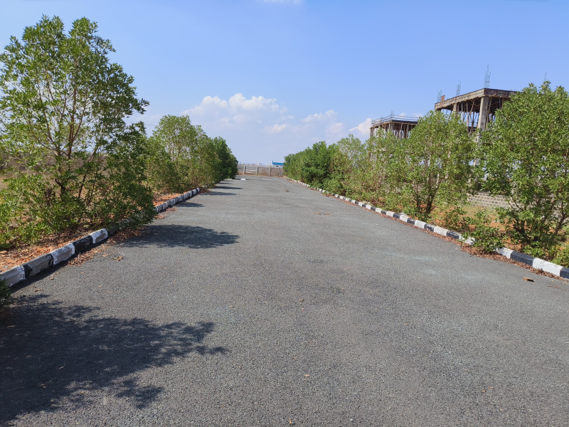  1200 Sq.ft. Residential Plot for Sale in B Thandrapadu, Kurnool