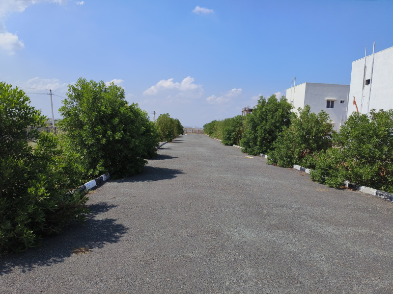  1200 Sq.ft. Residential Plot for Sale in B Thandrapadu, Kurnool