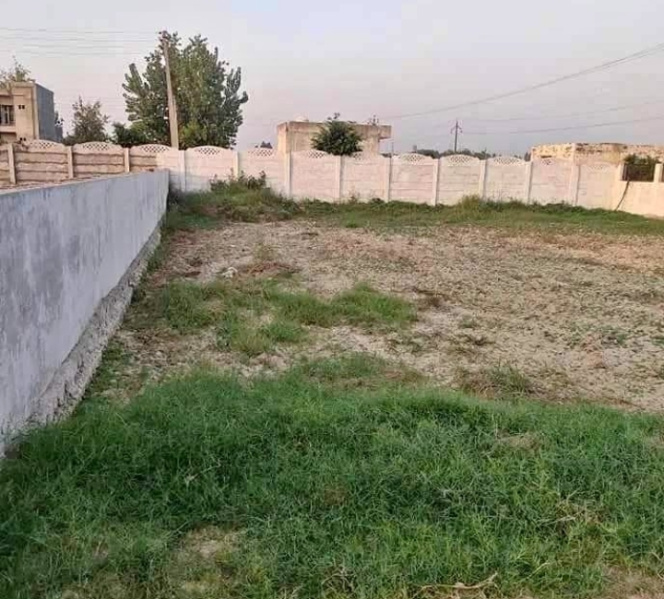 Residential Plot 1000 Sq. Yards for Sale in Sultanpur, Gurgaon