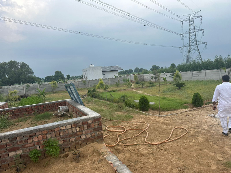  Agricultural Land 4840 Sq. Yards for Sale in Sultanpur, Gurgaon