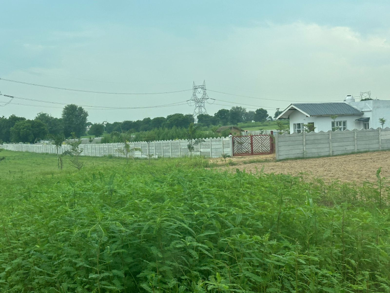  Agricultural Land 4840 Sq. Yards for Sale in Sultanpur, Gurgaon