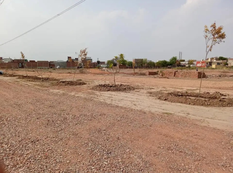  Residential Plot 50 Sq. Yards for Sale in Dwarka Expressway, Gurgaon