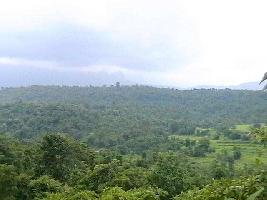  Residential Plot for Sale in Malavli, Pune