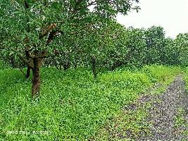  Agricultural Land for Sale in Karjat, Mumbai