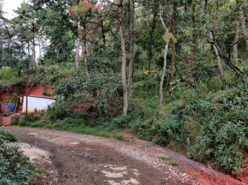  Agricultural Land for Sale in Azara, Guwahati