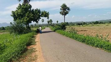  Residential Plot for Sale in Khurda, Bhubaneswar