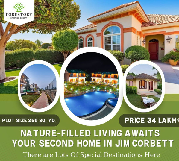  Residential Plot 250 Sq. Yards for Sale in Kaladhungi Road, Haldwani