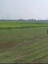  Agricultural Land for Sale in Rajpur Sonarpur, South 24 Parganas
