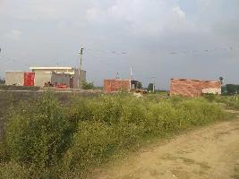  Residential Plot for Sale in Sector 144 Noida