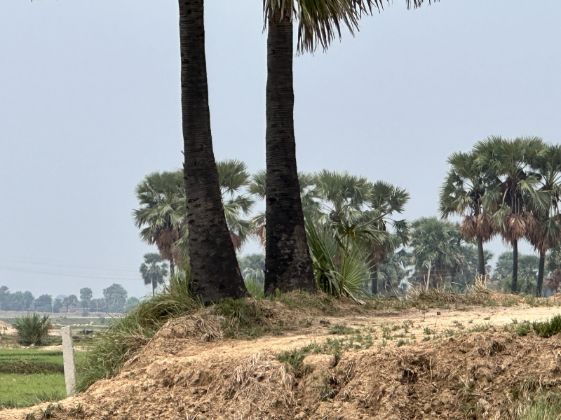  Residential Plot 1200 Sq.ft. for Sale in Rajgir, Nalanda