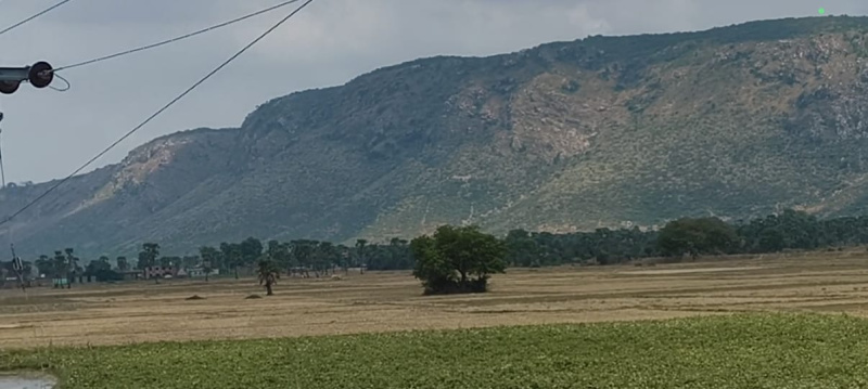  1350 Sq.ft. Residential Plot for Sale in Rajgir, Nalanda