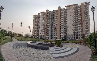3 BHK Flat for Sale in Sector 102 Gurgaon