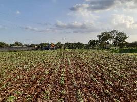  Agricultural Land for Sale in Khamgaon, Buldana