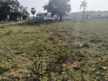  Residential Plot for Sale in Arisipperiyankuppam, Cuddalore