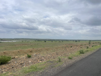 Agricultural Land for Sale in Baramati, Pune
