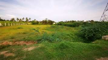  Residential Plot for Sale in Sathy Road, Coimbatore