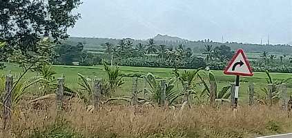  Agricultural Land for Sale in Annur Metu Palayam, Coimbatore