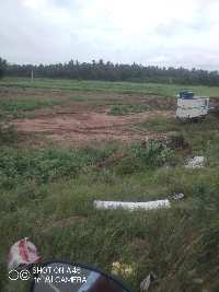  Agricultural Land for Sale in Neelambor, Coimbatore