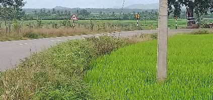  Agricultural Land for Sale in Annur, Coimbatore