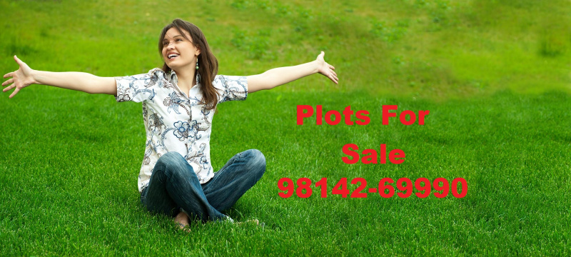 Residential Plot 150 Sq. Yards for Sale in Sunny Enclave, Mohali