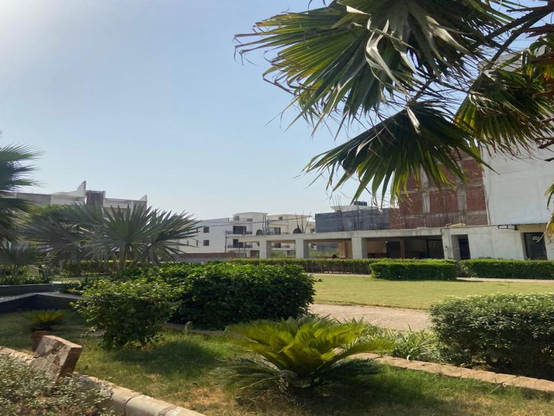  250 Sq. Yards Residential Plot for Sale in Sector 123 Mohali
